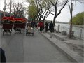 Beijing (534)